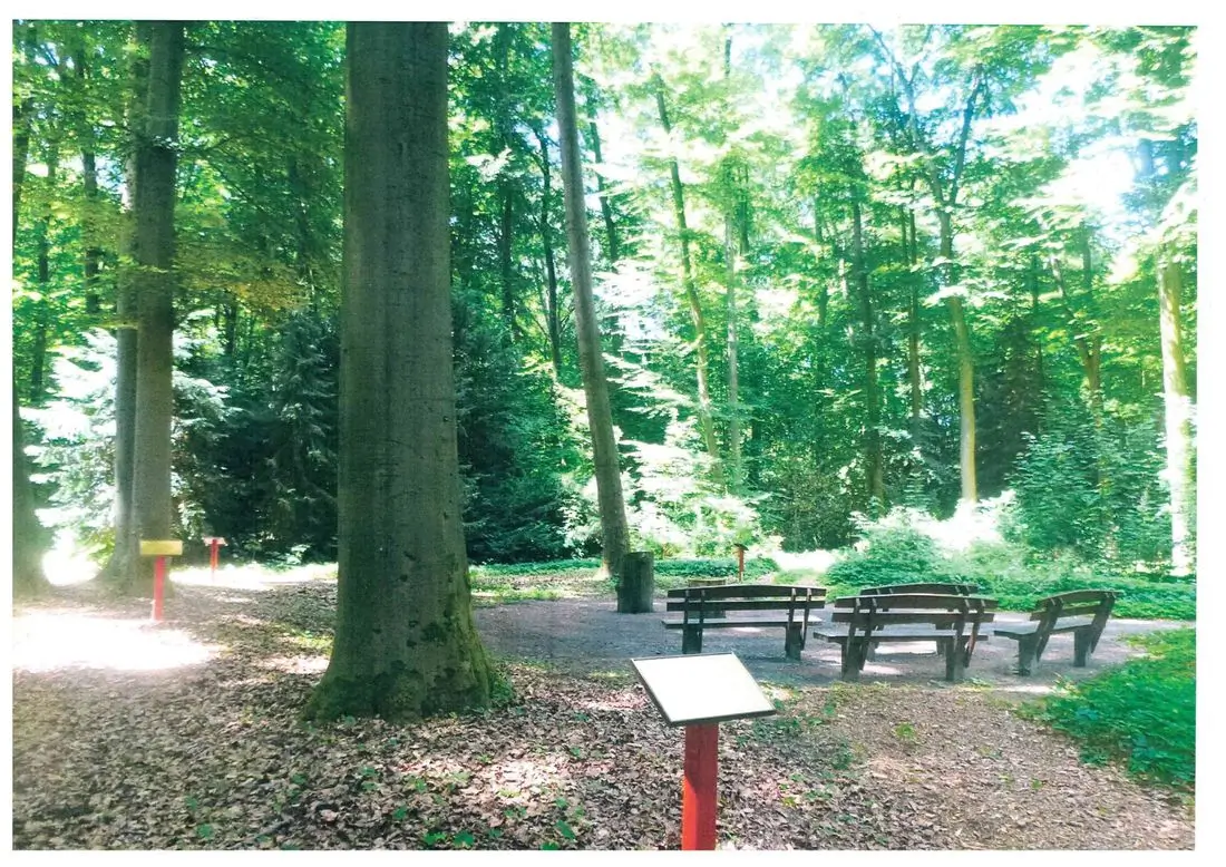 Baume und Erklärungtafeln neben einer Sitzgruppe im Trauerwald Frankfurt