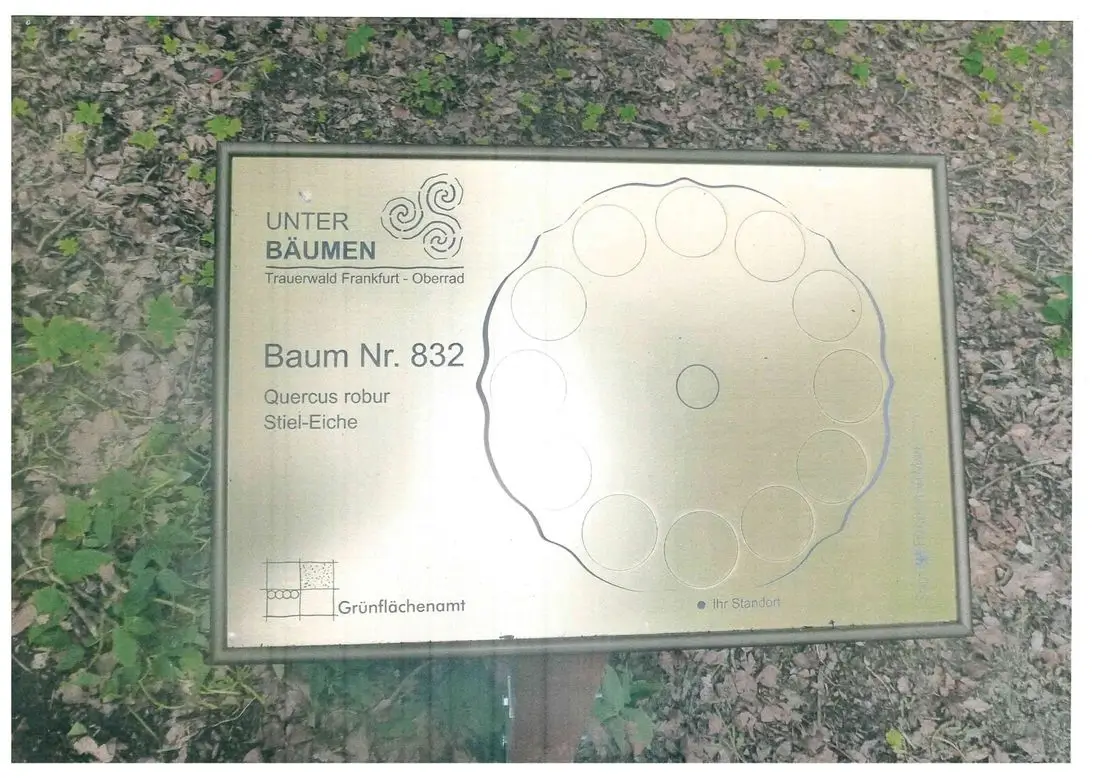 Tafel an einem Baum im Trauerwald Frankfurt